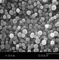 硅粉(Silicon Resin Powder)